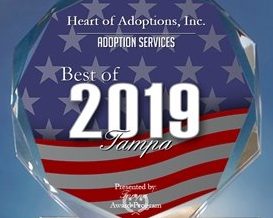 2019 Best of Tampa Award