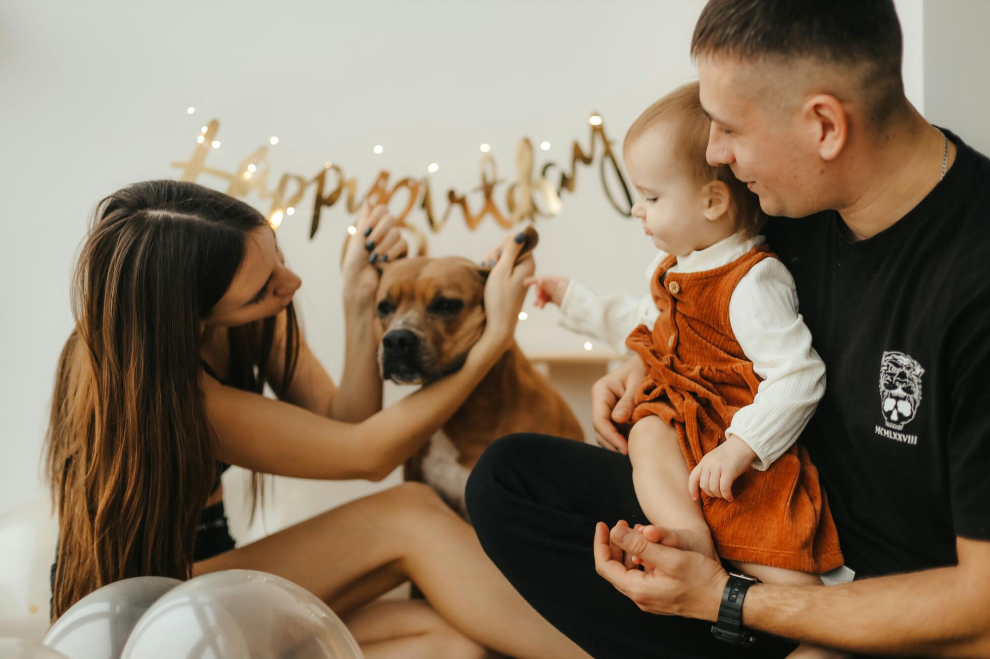7 Key Reasons Some Adoptions Fail in Orlando
