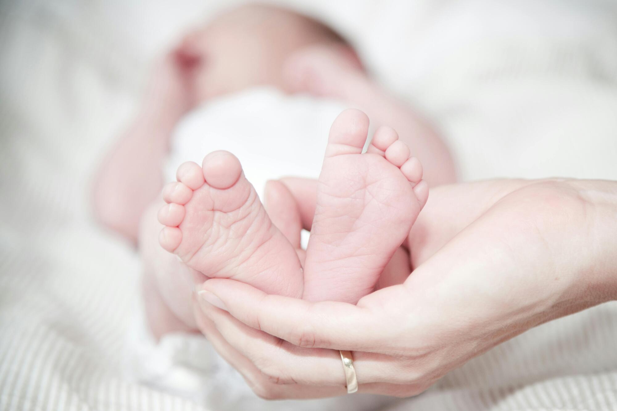 Navigating the Cost of Newborn Adoption: A Complete Guide
